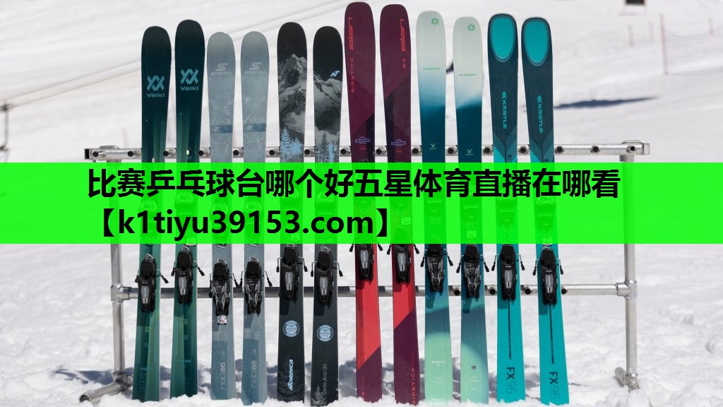 比赛乒乓球台哪个好五星体育直播在哪看