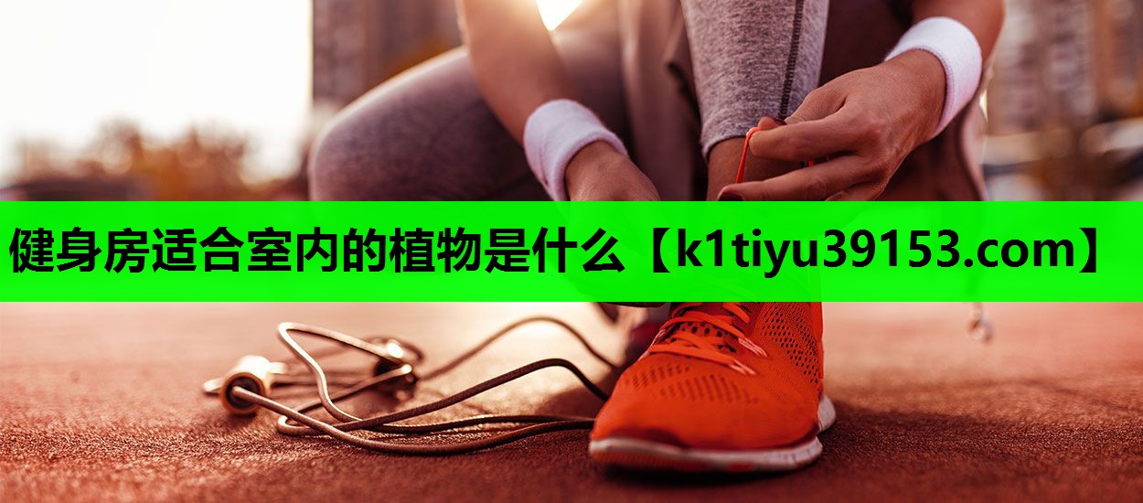 健身房适合室内的植物是什么